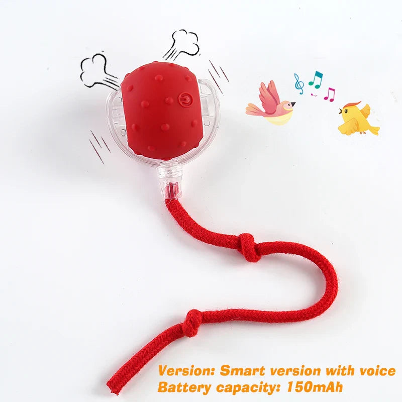 Rechargeable Automatic Rolling Cat Ball - Interactive Smart Toy for Cats & Kittens (2.36 x 2.75 in / 60 x 70 mm)