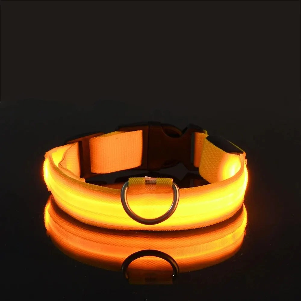 LED Glow Nylon Dog Collar & Leash - Luminous Flashing Night Safety for Dogs