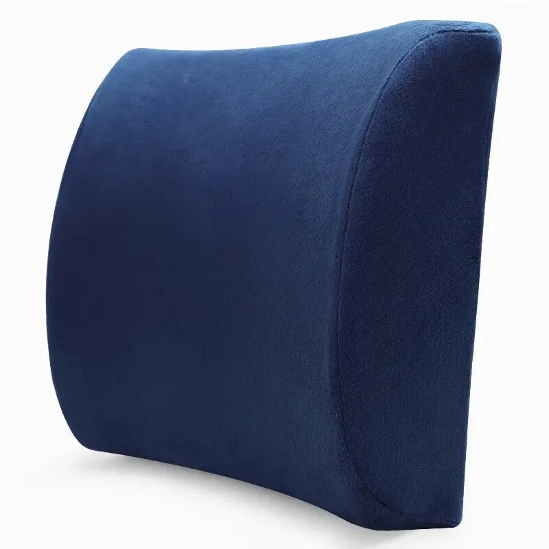 Memory Foam Lumbar Support Cushion for Office, Car & Student Chairs, Breathable Removable Cover (Blue)