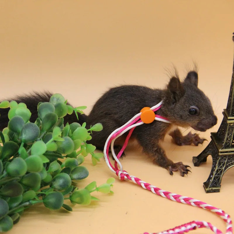 Adjustable Hamster Harness Leash 1.4m (4.6 ft) & 2.0m (6.6 ft) Nylon Rope Lead for Rat Mouse Gerbil