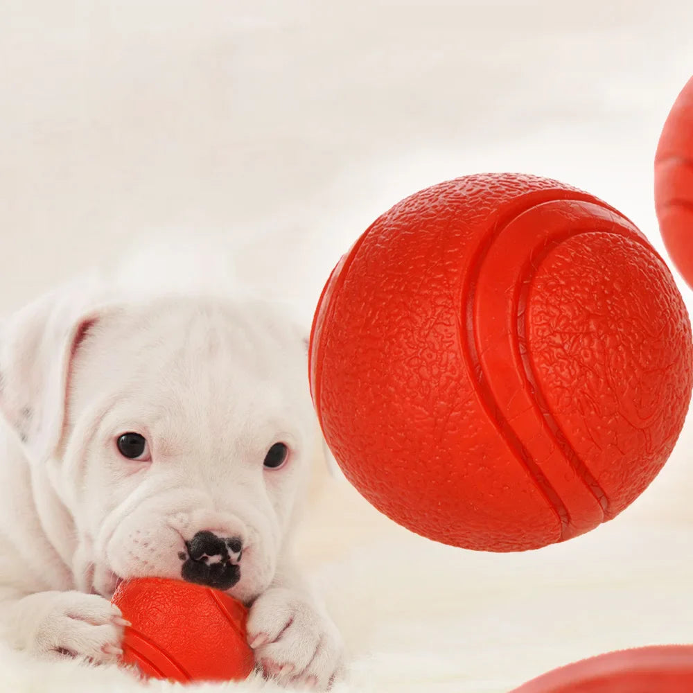 Bite-Resistant Rubber Dog Ball Toy – Chew-Proof Fetch Toy for Dogs & Puppies, Sizes S–XL (5–9 cm | 2–3.5 in) – Red
