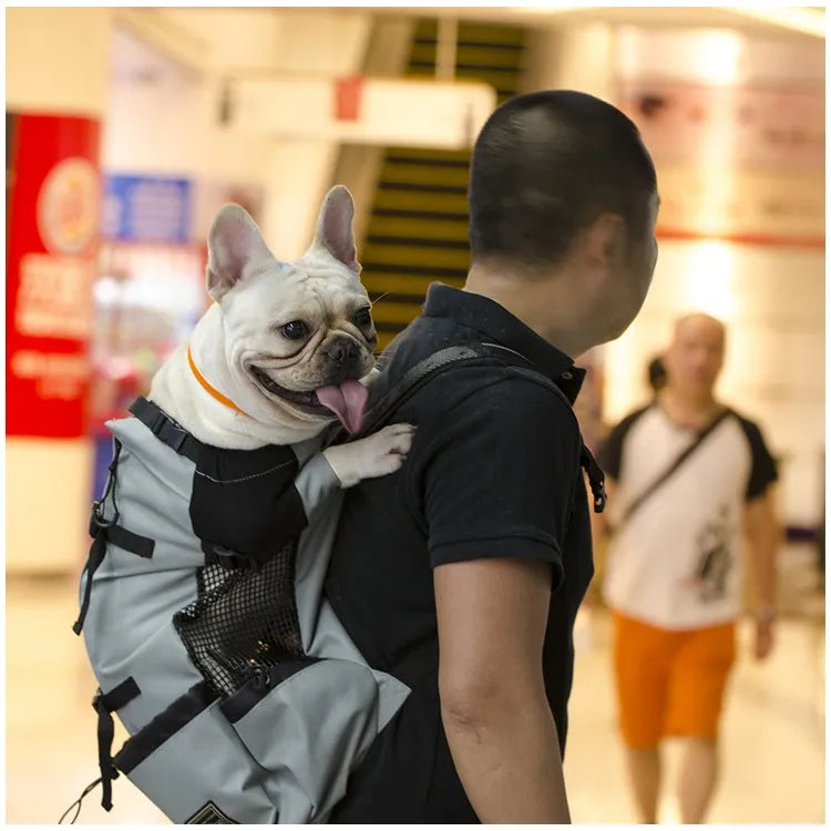 Breathable Dog Carrier Backpack for Travel, Hiking & Motorcycle – Mesh Pet Backpack