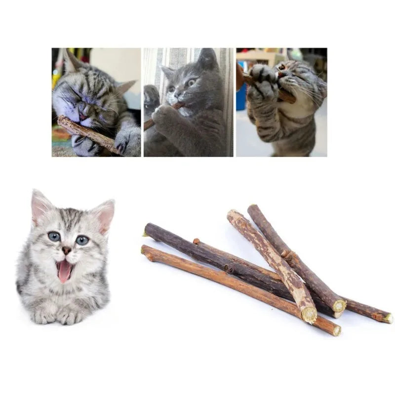 Natural Woodruff Cat Chew Sticks 20-Pack — Catnip-Like Dental Chew Toys for Kittens & Cats