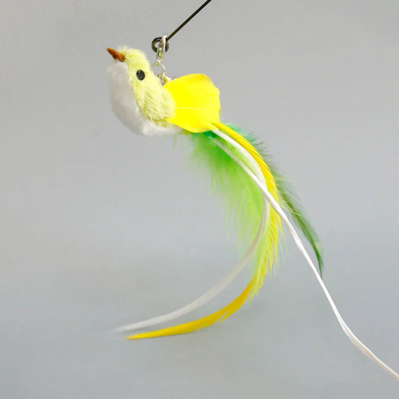 Interactive Feather Cat Toy – Feather Teaser for Cat Play & Exercise
