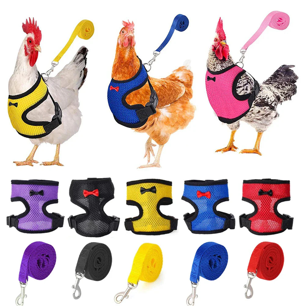 Adjustable Mesh Chicken and Duck Harness Vest with Leash Breathable Poultry Harness XS-XL