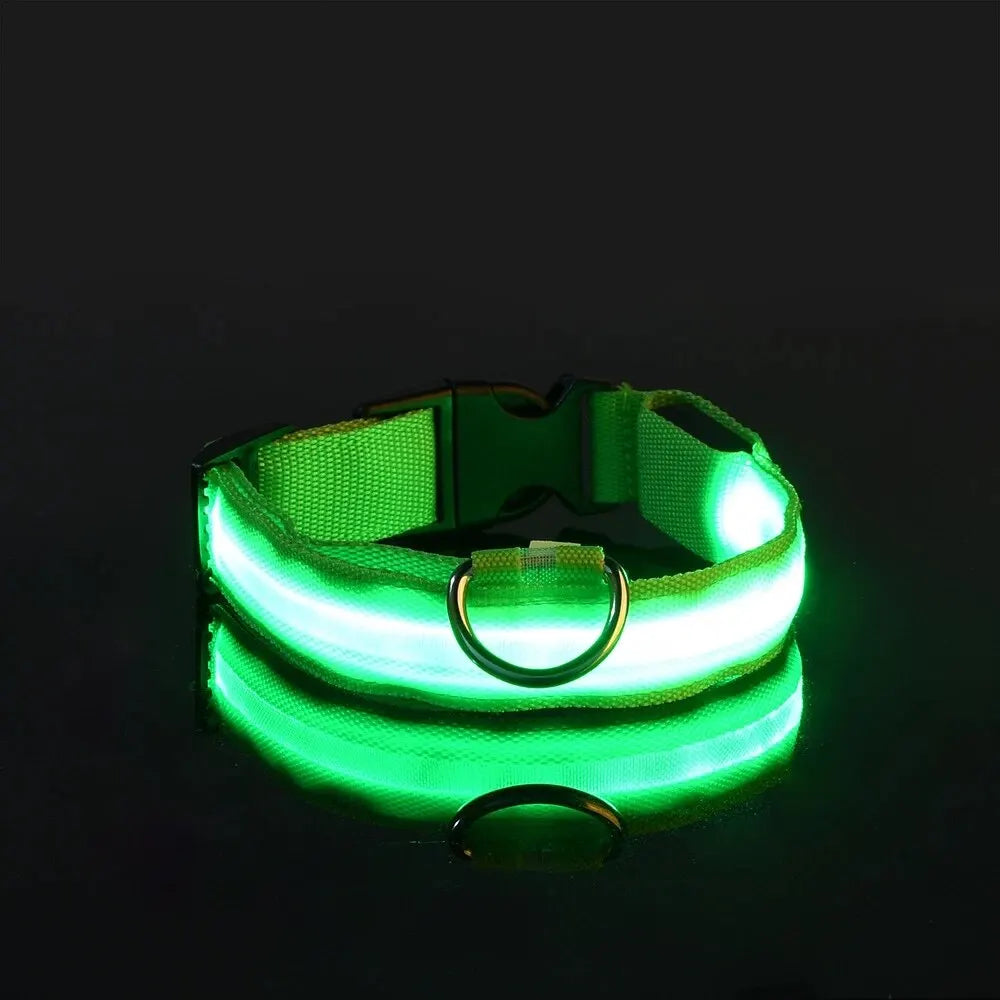 LED Glow Dog Collar – Nylon Luminous Fluorescent Safety Collar with Flashing Lights