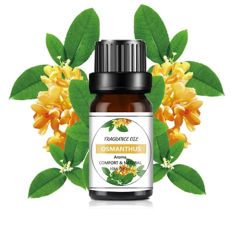 Mango Pineapple Fragrance Oil 10 mL (0.34 fl oz) – Natural Fruit Scent for Diffusers, DIY Soap & Candles