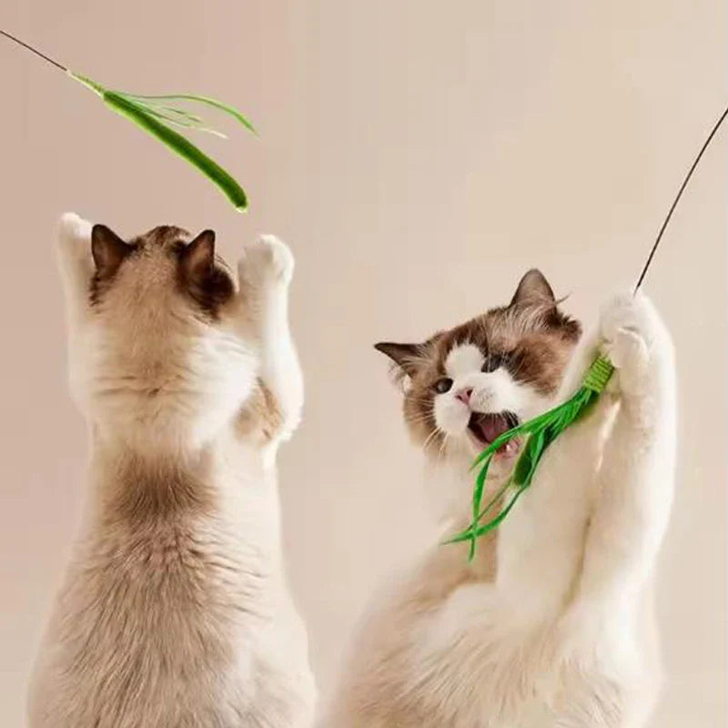 Interactive Feather Teaser Wand for Cats — Flexible Wire Durable Feather Toy