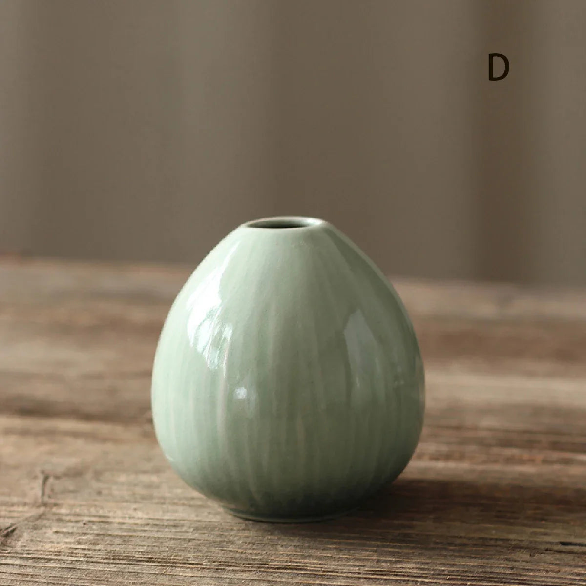 Simple Ceramic Porcelain Vase for Hydroponic Plants — Minimalist Small Vase for Living Room & Dining Table Decor