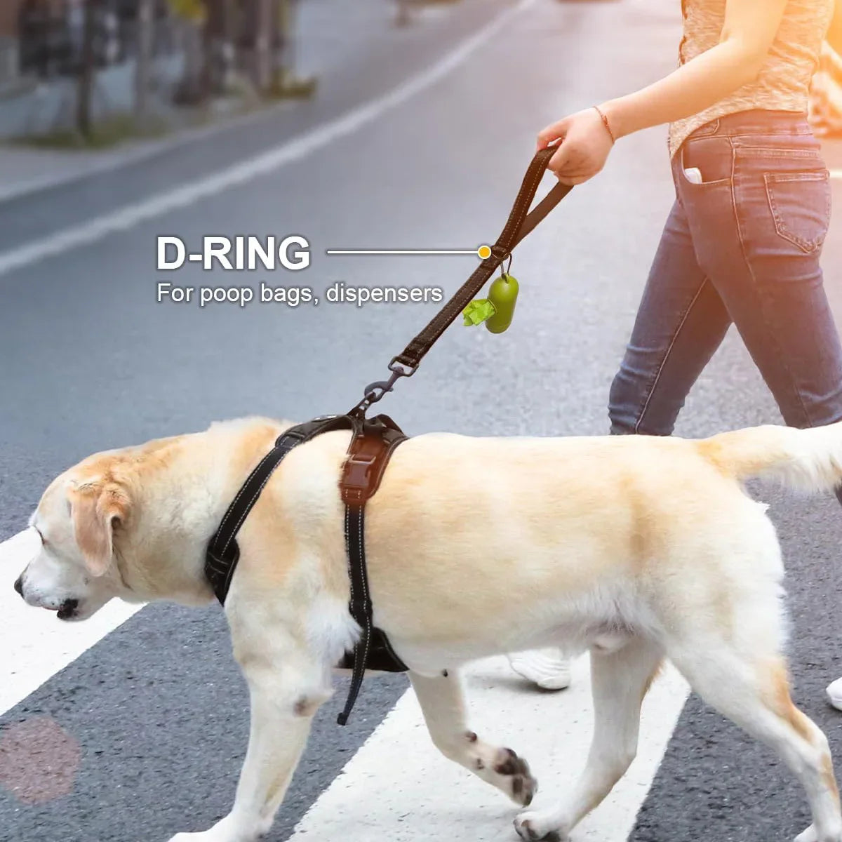 Short Nylon Dog Leash with Padded Traffic Handle - Heavy Duty Reflective Training Lead