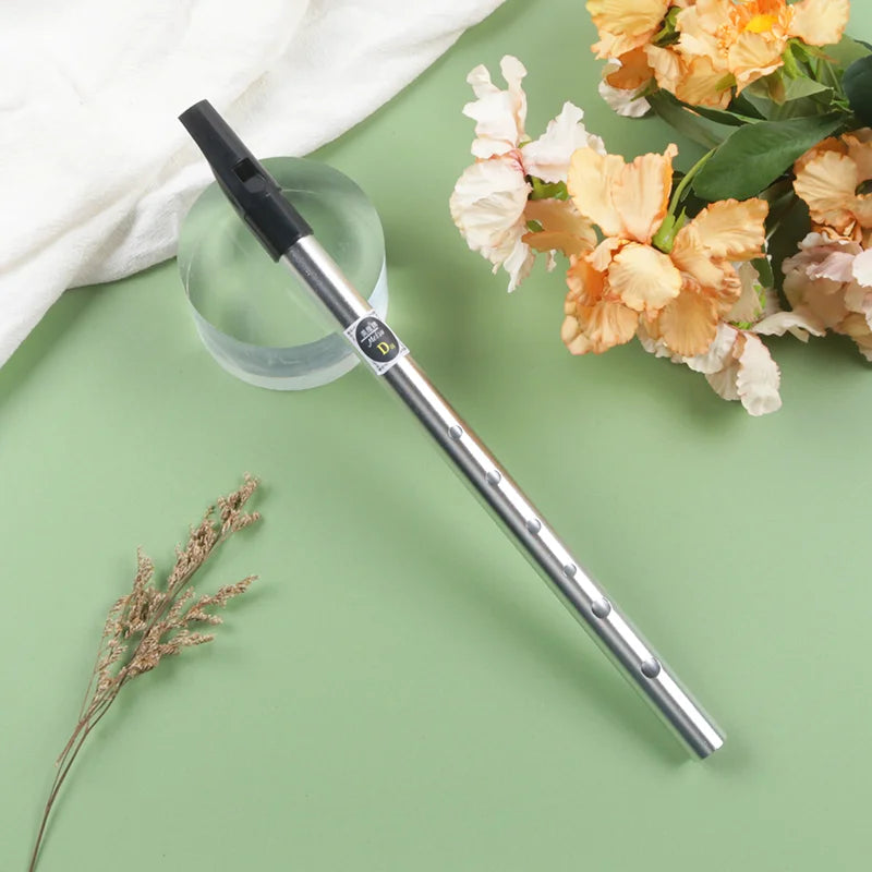 Tin Penny Whistle (C/D Key) 6-Hole Irish Whistle Flute, Alloy & ABS, Includes Music Book and Pouch
