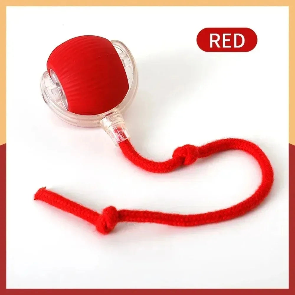 Interactive Rechargeable Rolling Cat Ball with Faux Tail – Automatic Smart Pet Toy for Cats & Small Dogs