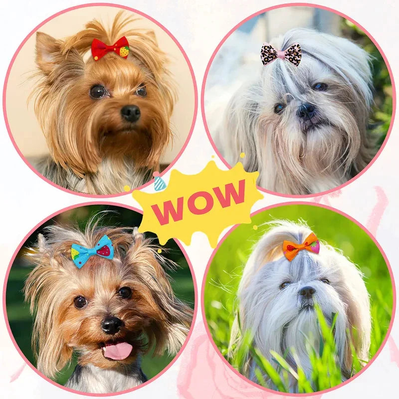 30-Pack Pet Hair Bows for Small Dogs and Cats Handmade Movable Puppy Bows with Elastic Bands for Yorkie Shih Tzu Grooming Party