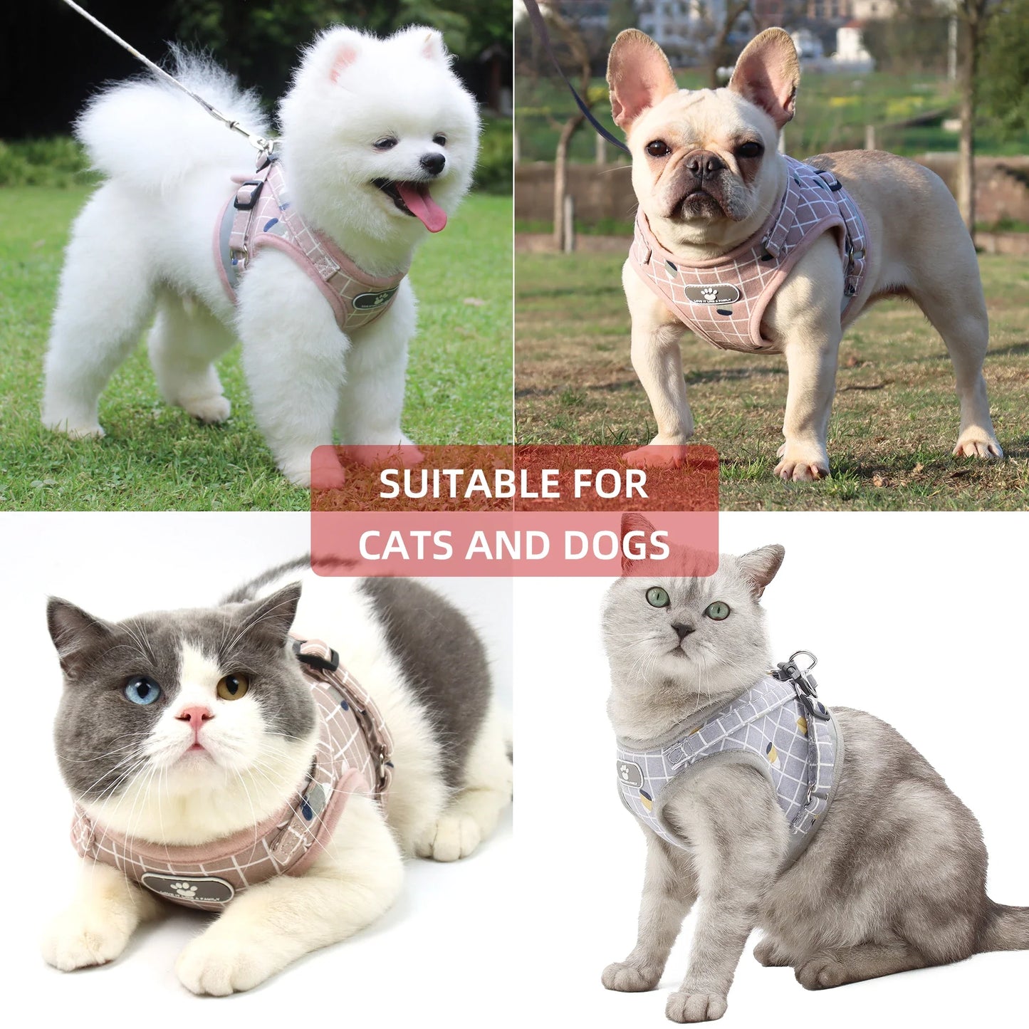 Adjustable Breathable Pet Harness with Reflective Leash for Puppies, Small Dogs & Cats