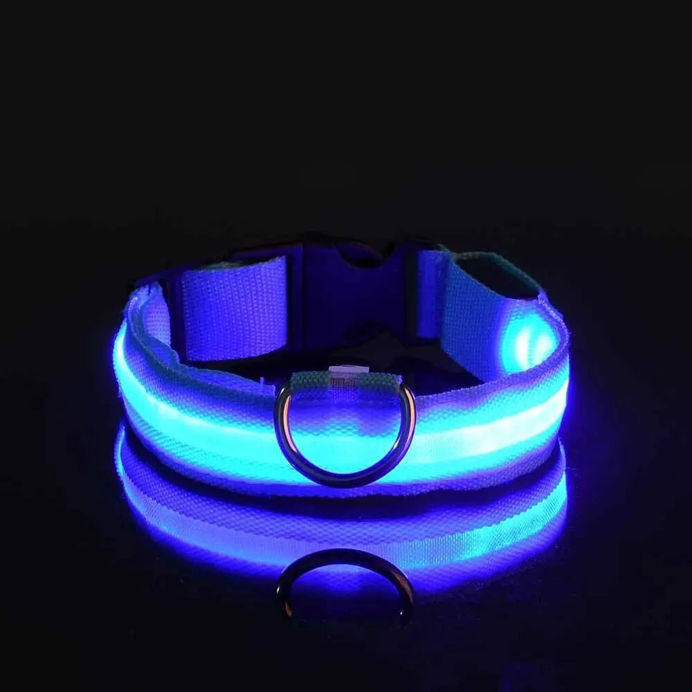 LED Glow Nylon Dog Collar & Leash - Luminous Flashing Night Safety for Dogs