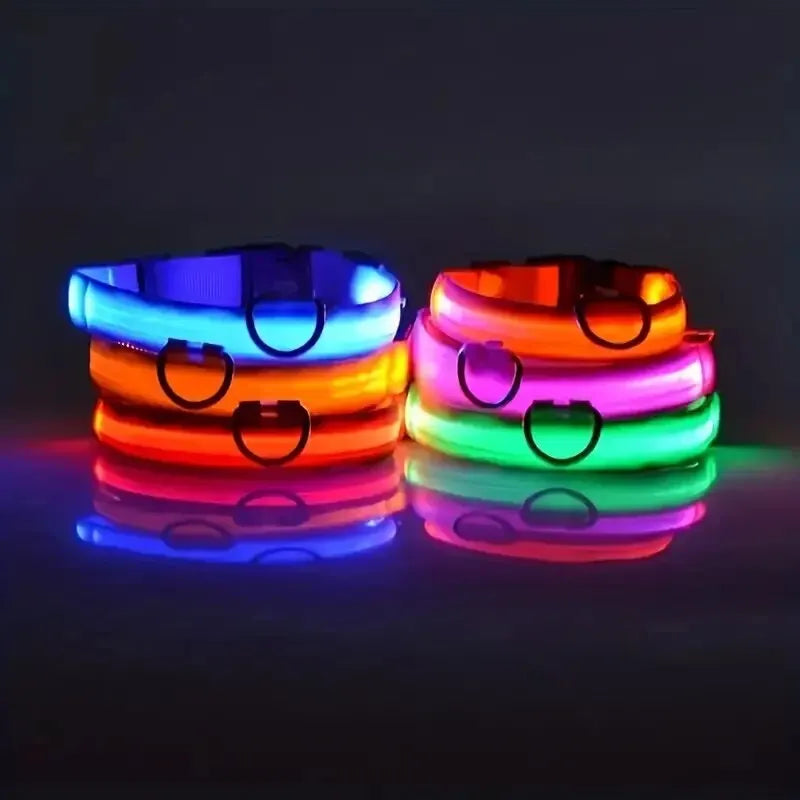 LED Glow Nylon Dog Collar & Leash - Luminous Flashing Night Safety for Dogs