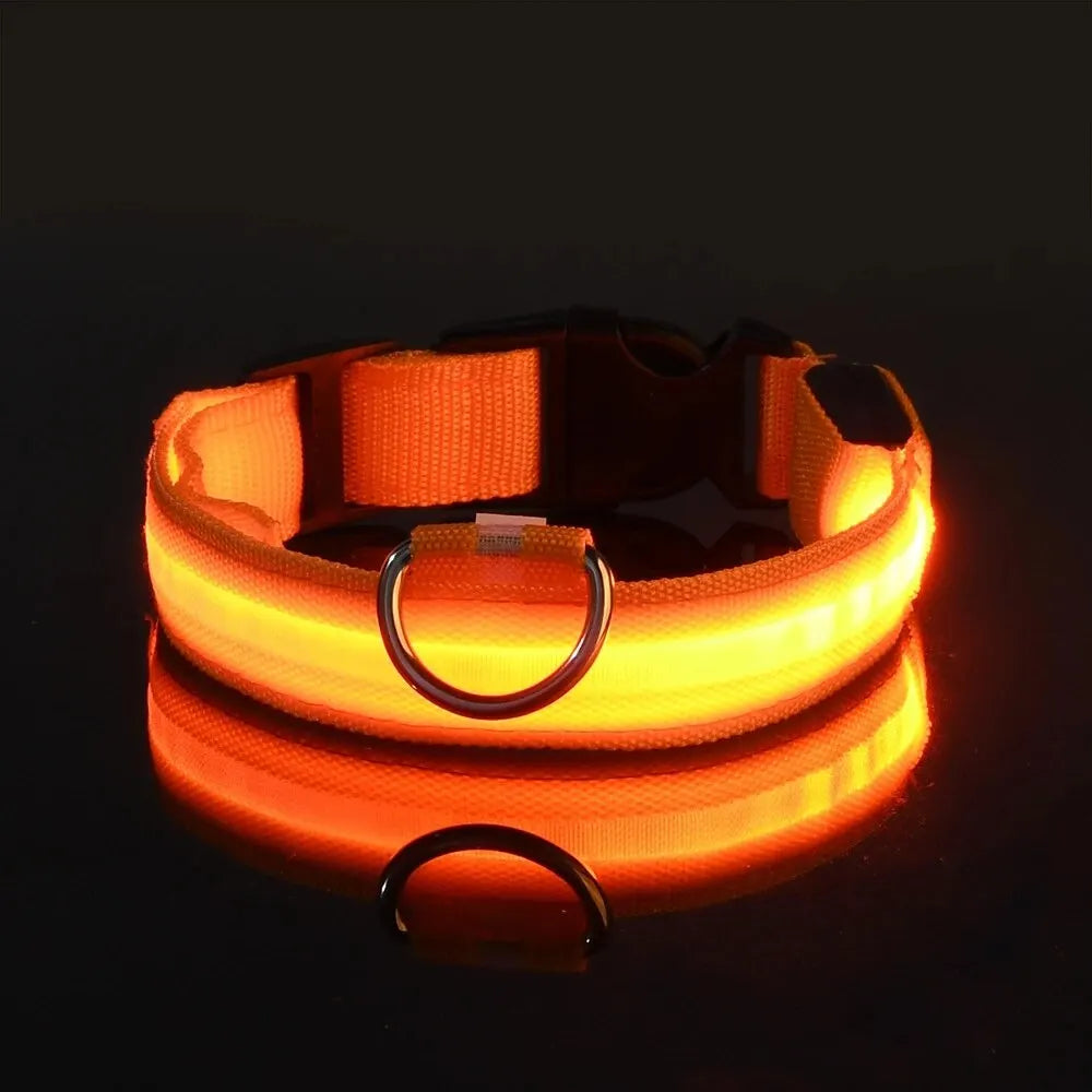 LED Glow Dog Collar – Nylon Luminous Fluorescent Safety Collar with Flashing Lights