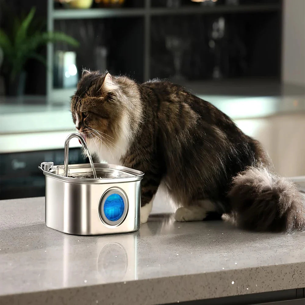3.2L Stainless Steel Automatic Pet Water Fountain with Visual Window – Cat & Dog Water Dispenser
