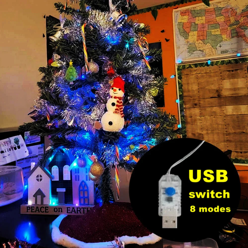 USB Powered Silver Wire Fairy Lights - Waterproof LED String Lights (1–20 m / 3.3–65.6 ft) Warm White Multicolor for Christmas, Wedding & Party