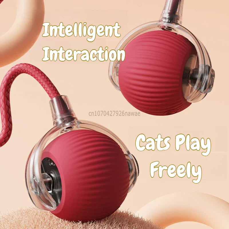 Automatic Rolling Ball Cat Toy – USB-C Rechargeable Interactive Silicone Magic Ball, Prey-Simulating Training Toy for Cats