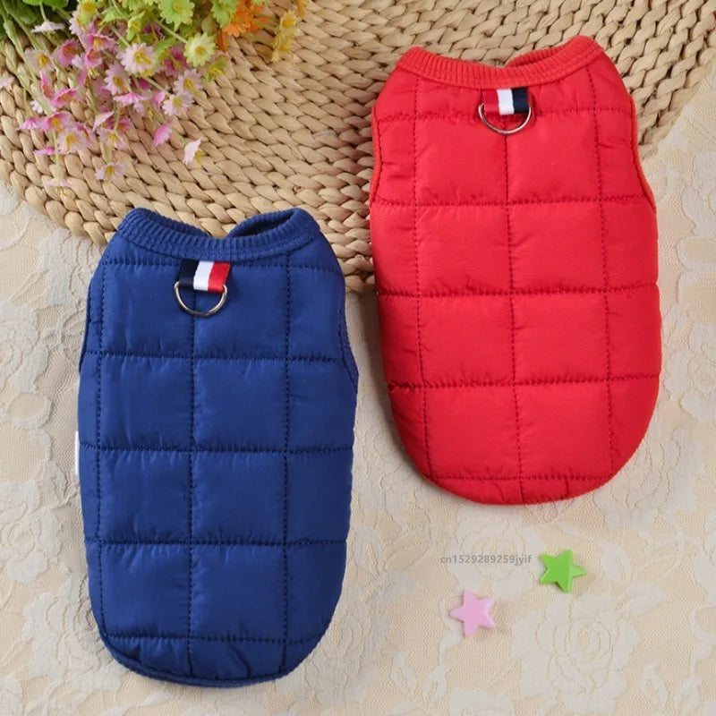 Winter Padded Windproof Dog Coat for Small Dogs - Chihuahua & Puppy Jacket