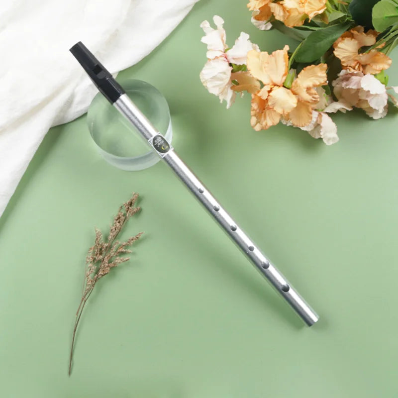 Tin Penny Whistle (C/D Key) 6-Hole Irish Whistle Flute, Alloy & ABS, Includes Music Book and Pouch