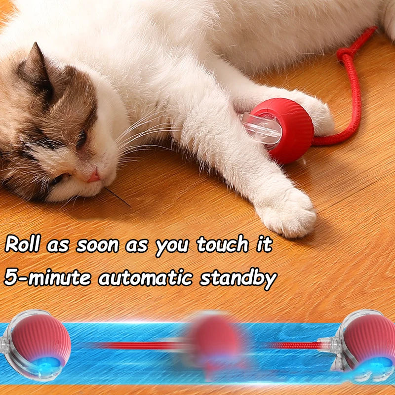 2-Pack Rechargeable Interactive Rolling Cat Ball Toys with Faux Tail Mouse-Imitating Automatic Smart Pet Toy