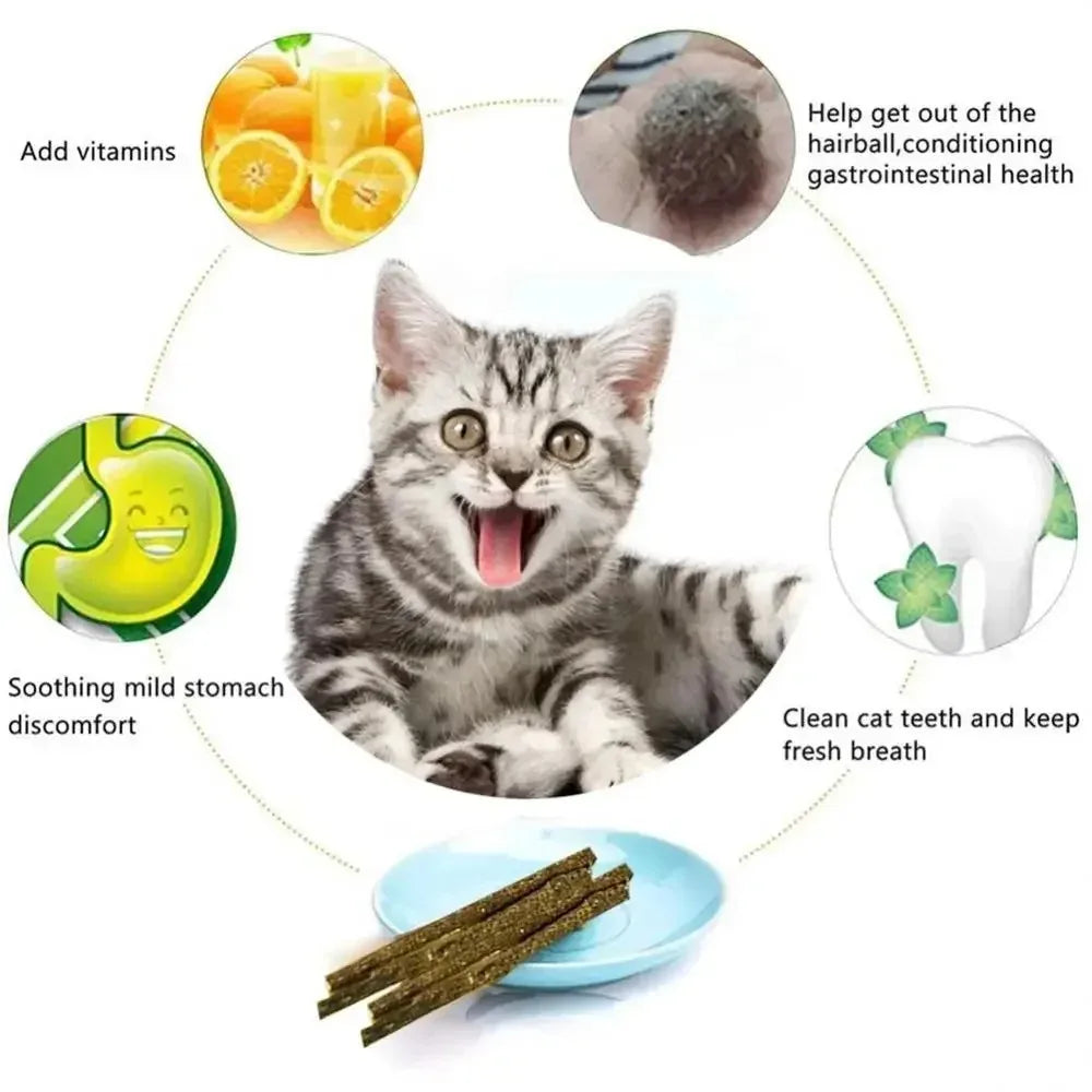 6-Pack Matatabi (Silvervine) Cat Sticks — Natural Wood Chew Toys for Teeth Cleaning & Play