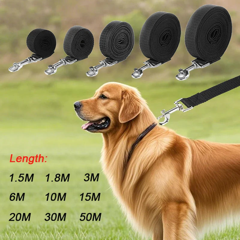 Long Strong Nylon Dog Leash - Training & Walking Lead, 10m/15m/20m (33/49/66 ft) for Small to Large Dogs & Puppies
