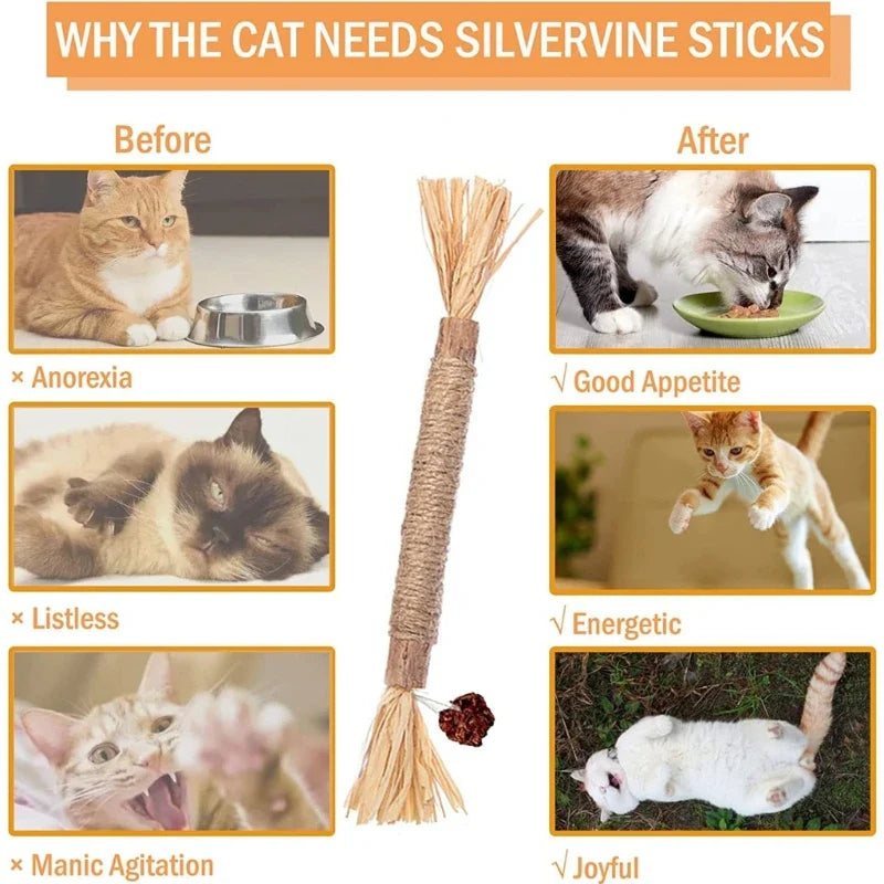Natural Silvervine (Matatabi) Cat Chew Sticks - Dental Catnip Toy, 8.7 in (22 cm), 1/2/5 Pack