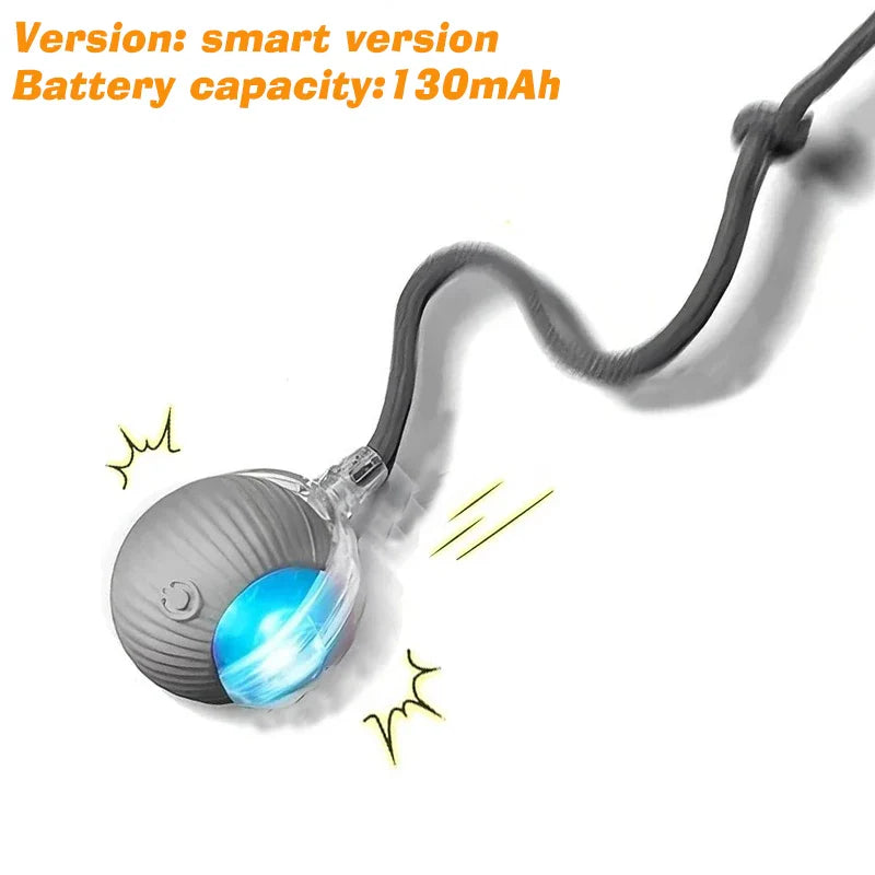 Rechargeable Interactive Rolling Ball Toy for Dogs & Cats — Automatic Smart Obstacle-Avoiding Pet Play Ball