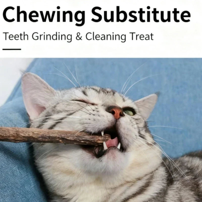Natural Woodruff Cat Chew Sticks 20-Pack — Catnip-Like Dental Chew Toys for Kittens & Cats