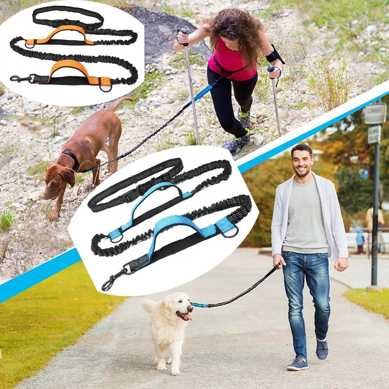 Hands-Free Double Elastic Reflective Dog Leash — Retractable Running Waist Belt, Adjustable Waist 27.6–47.2 in (70–120 cm), Leash 63–102 in (160–260 cm)