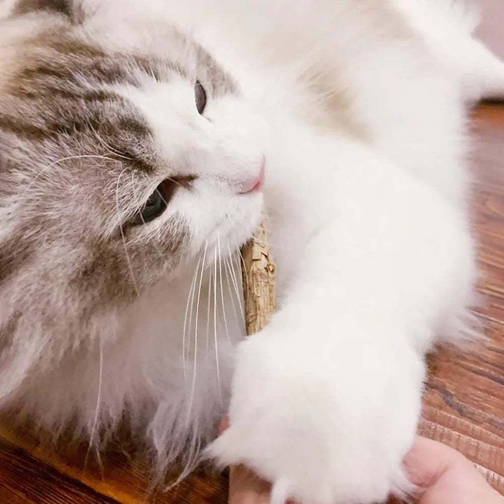 15-Pack Natural Matatabi (Silvervine) Catnip Chew Sticks — 4.7 in (12 cm) Dental Treats for Cats & Kittens