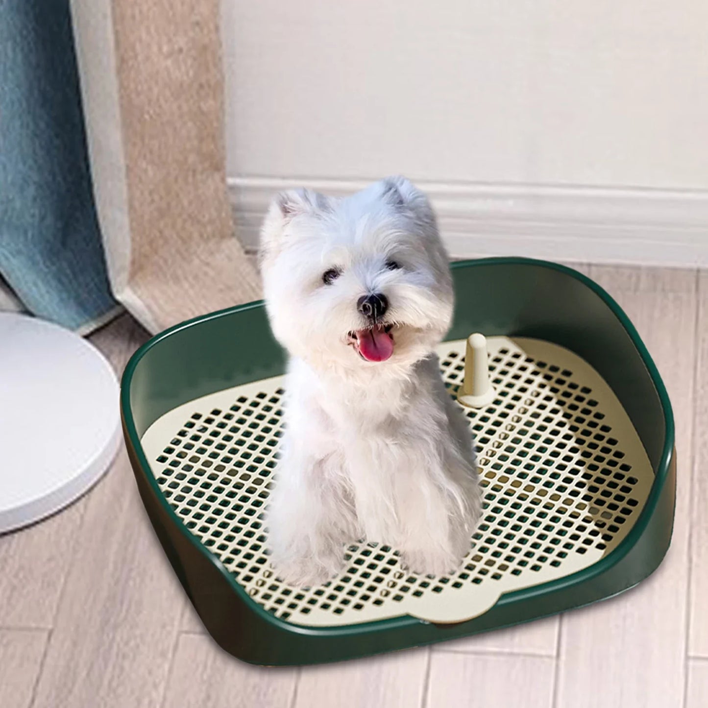 Portable Dog & Cat Training Potty with Splash Guard 15.75 x 11.81 x 4.33 in (40 x 30 x 11 cm) - Indoor/Outdoor Litter Box Trainer, Non-Slip Detachable Grid