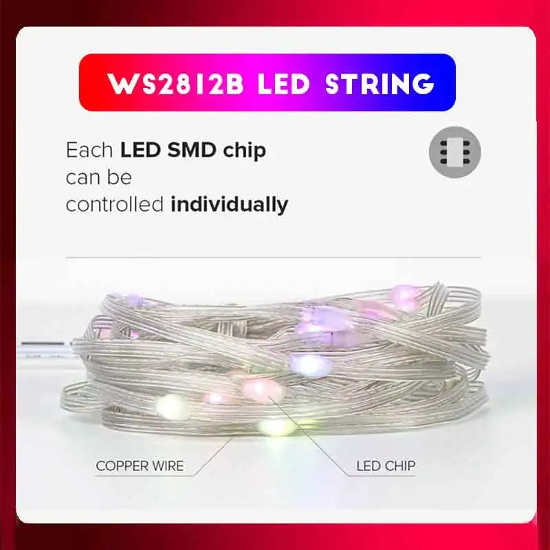 20M (65ft) USB Addressable RGBIC LED String Lights - Bluetooth App & IR Remote, 5V Waterproof Fairy Lights for Party & Christmas