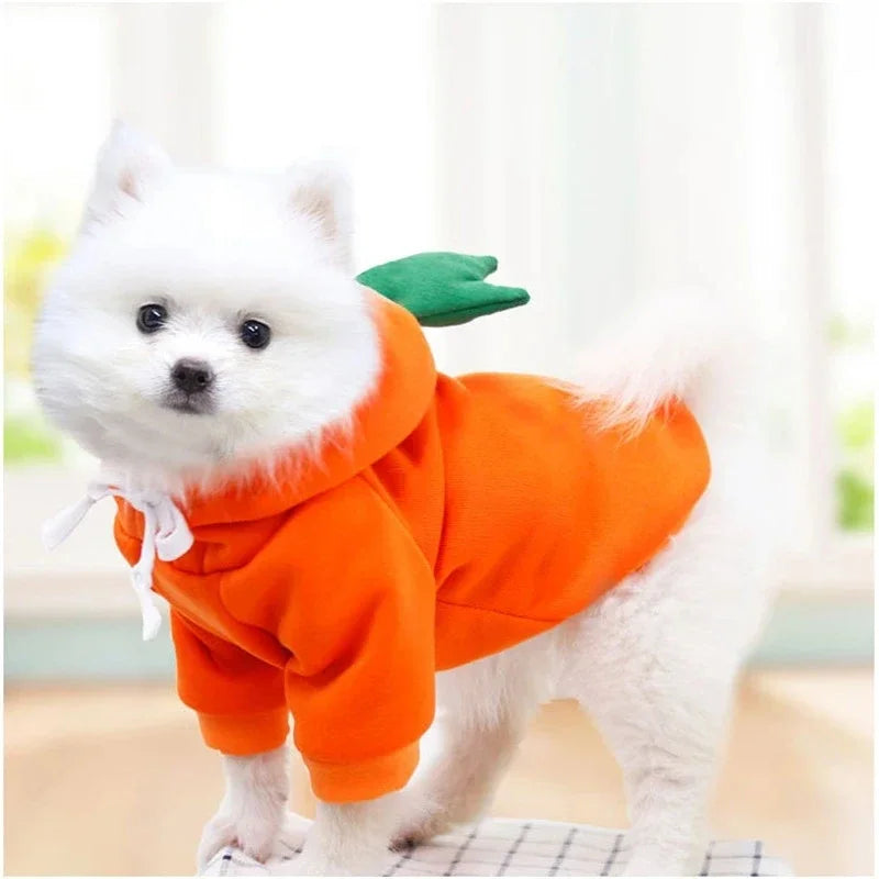 Fruit Print Fleece Hoodie for Small Dogs – Warm Pet Jacket for Puppies & Cats