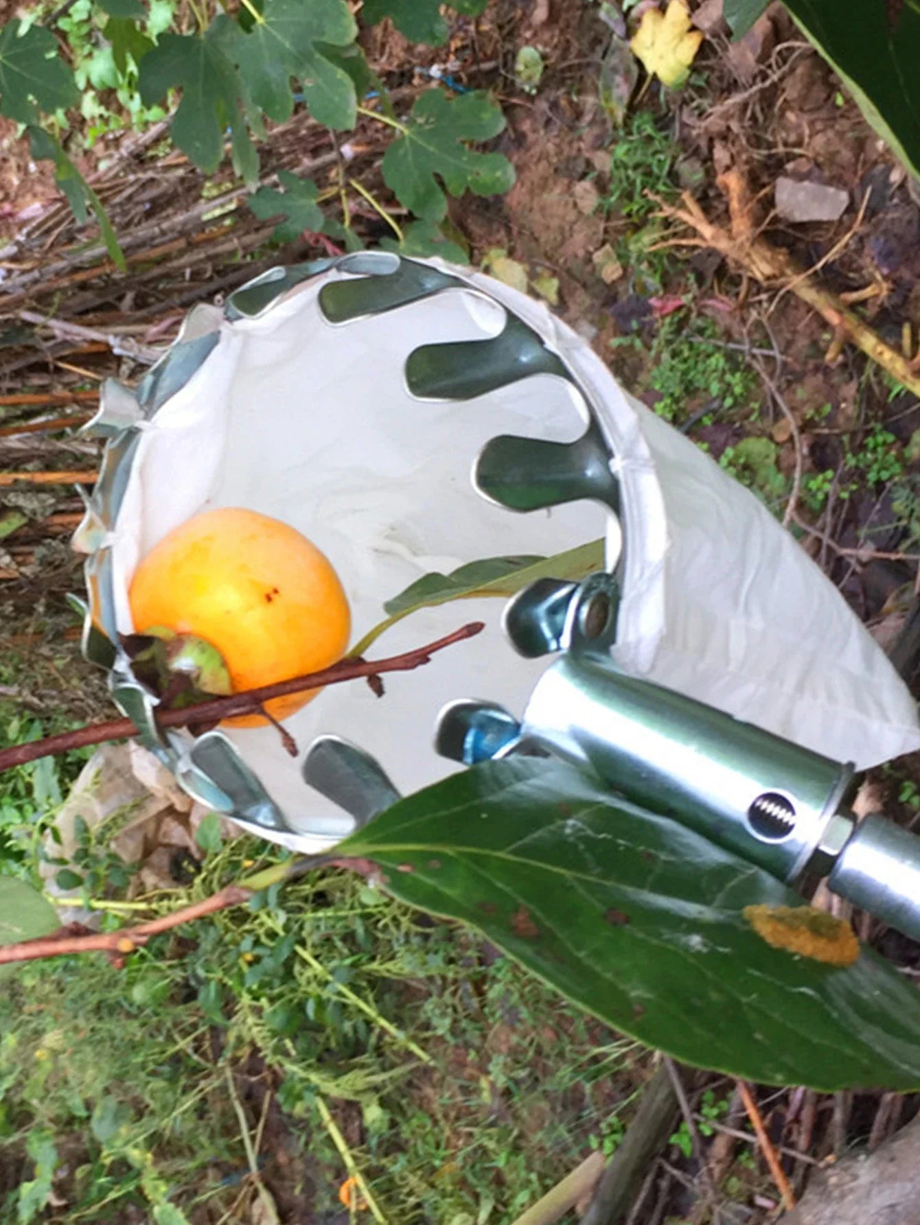 Fruit Picker Basket with Foam Cushion – Pole Attachment Harvesting Tool for Apples & Peaches