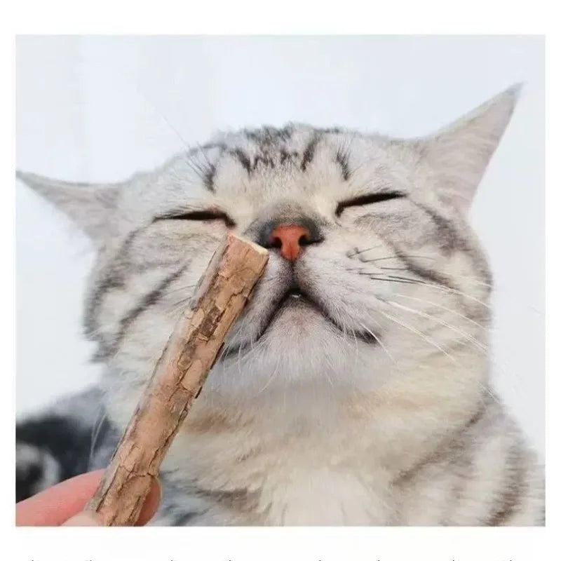 Natural Woodruff Cat Chew Sticks 20-Pack – Dental Molar Chews for Cats & Kittens