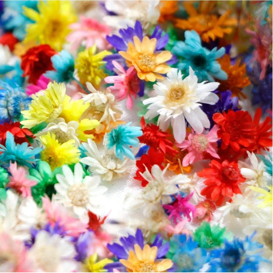 120PCS Small Daisy Artificial Flower Heads for Resin Jewelry, Candle Making & DIY Crafts