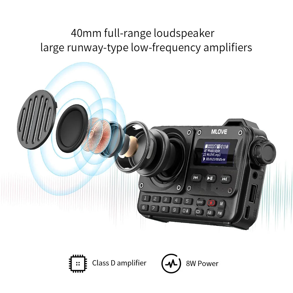 Portable Bluetooth Speaker with FM Radio, LCD Display, AUX, USB & MicroSD Playback — 8W, 20‑Hour Battery