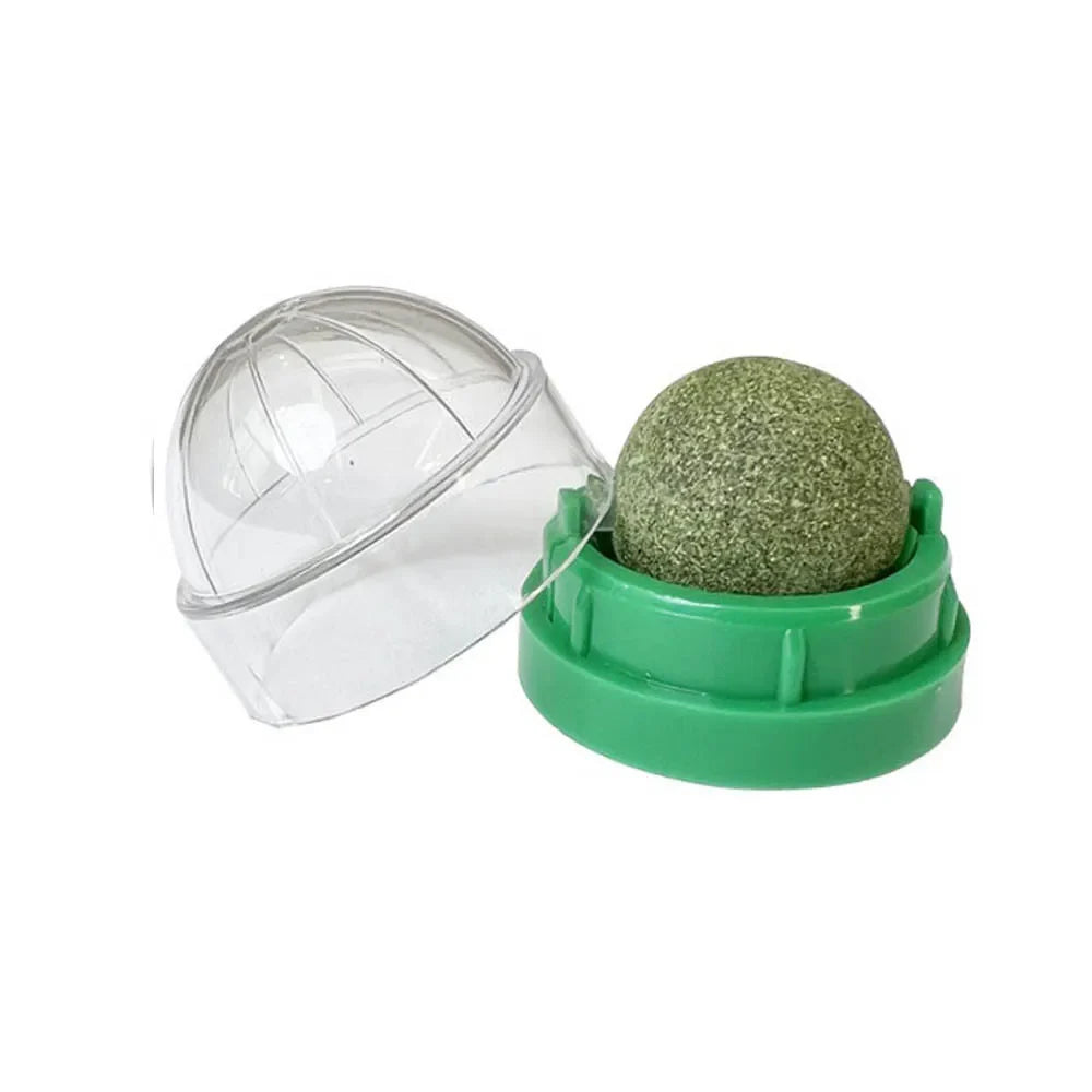Catnip Wall Stick-On Ball Toy for Cats — Adhesive Cat Grass Treat Ball for Digestion & Scratching