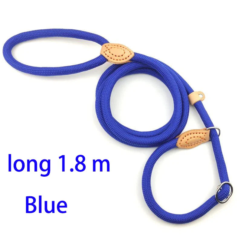 Adjustable Nylon Dog Collar and Harness with Quick-Release Leash, Lightweight Durable Pet Lead for Dogs and Cats