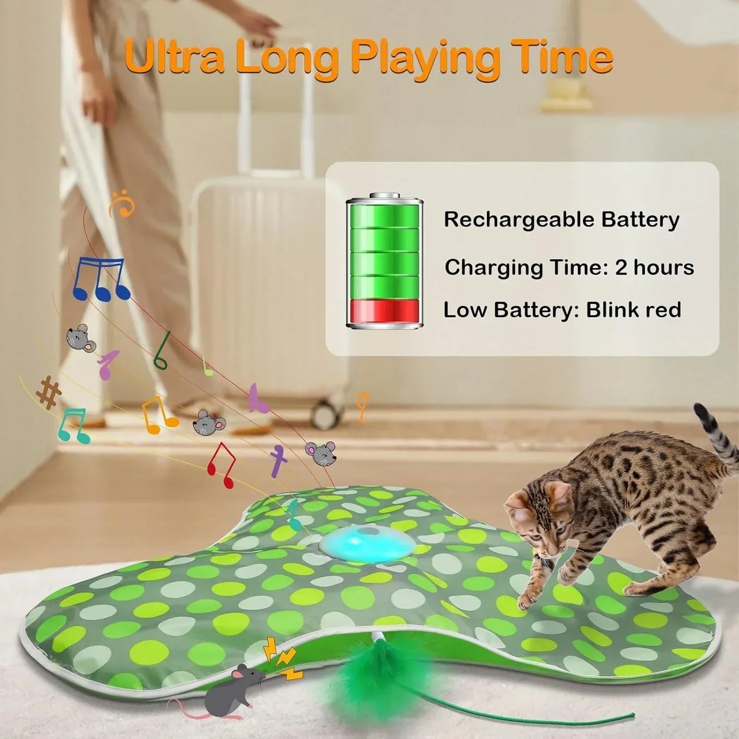 Interactive Hide and Seek Cat Toy – Motion-Activated Squeaky Mouse with Concealed Feather Wand, USB Rechargeable