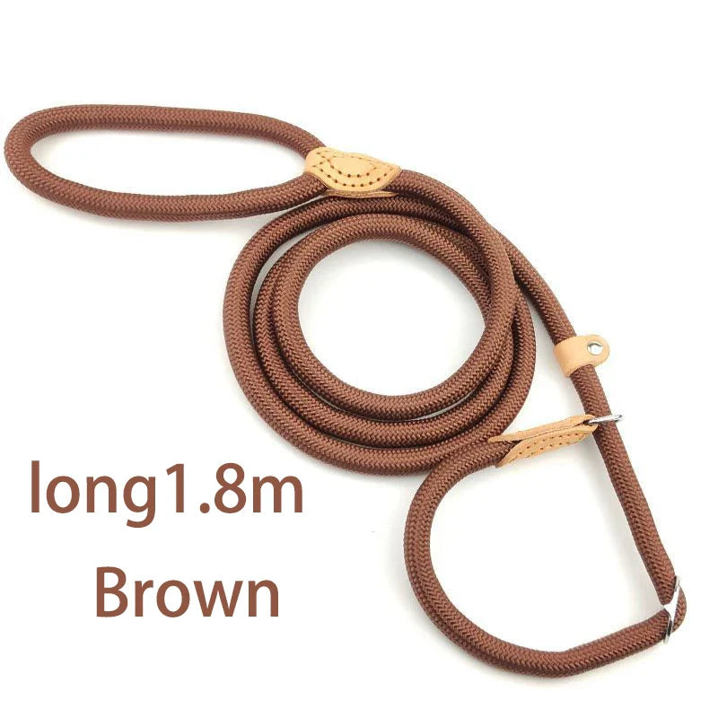 Adjustable Nylon Dog Collar and Harness with Quick-Release Leash, Lightweight Durable Pet Lead for Dogs and Cats