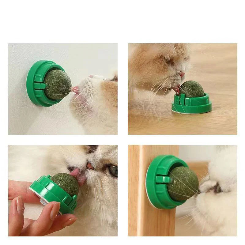 Catnip Wall Stick-On Ball Toy for Cats — Adhesive Cat Grass Treat Ball for Digestion & Scratching
