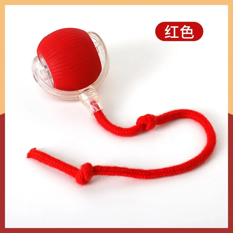 Rechargeable Self-Moving Rolling Ball Cat Toy — Interactive Indoor Toy for Kittens & Cats