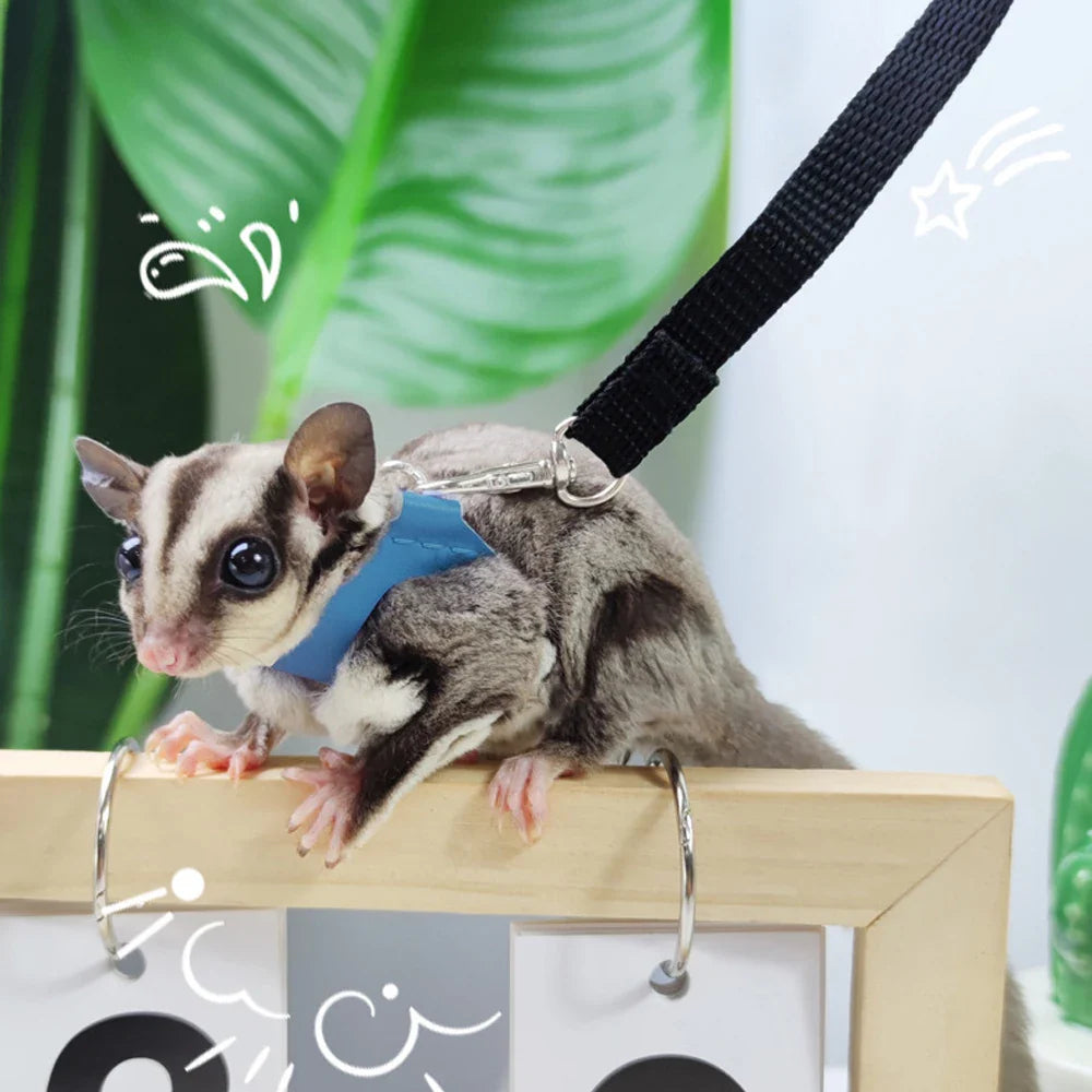 4-Pack Small Pet Harness and Leash Set - Escape-Proof Adjustable Collar for Hamsters, Sugar Gliders, Squirrels
