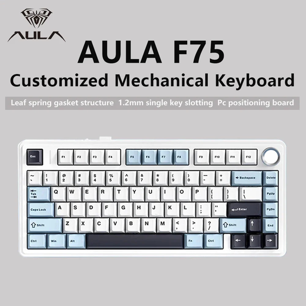 75% RGB Mechanical Gaming Keyboard — 78-Key Hot-Swappable Gasket Mount, 2.4G Wireless/Bluetooth/Wired, OEM Profile