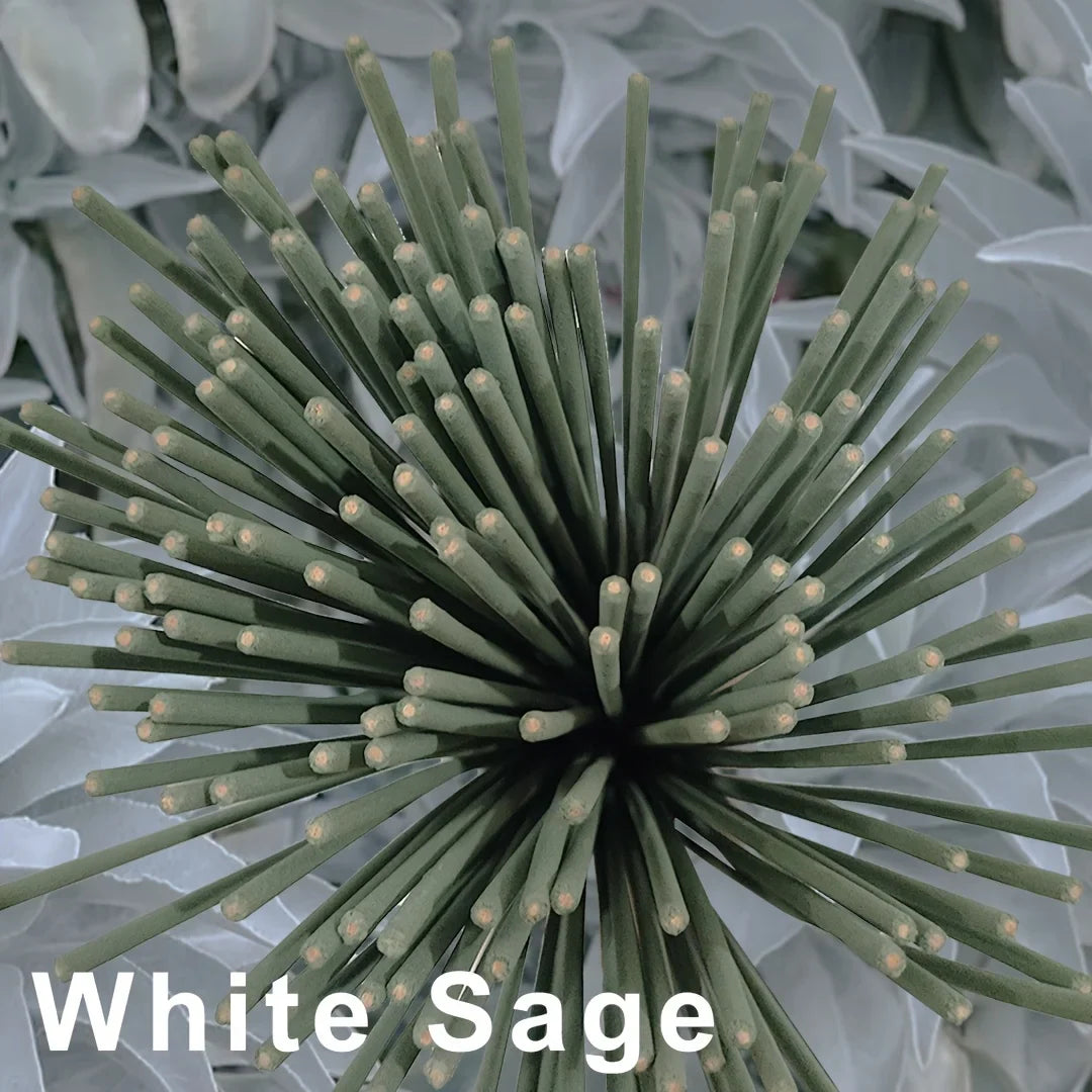 White Sage Lavender & Mint Aromatherapy Incense Coils for Patio, Porch, Poolside & Camping